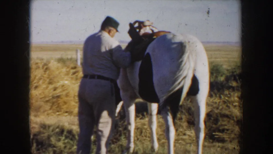 The man continues adjusting tack on the white horse, with open South Dakota plains and dry field grass behind them.