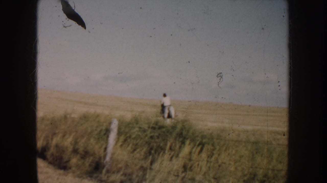 1953 South Dakota home-movie frame with a distant rider and pinto horse moving through open prairie grass.