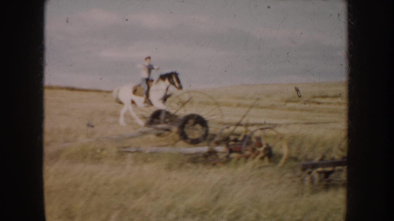 Rider on a pinto horse passing farm equipment in a grassy field.