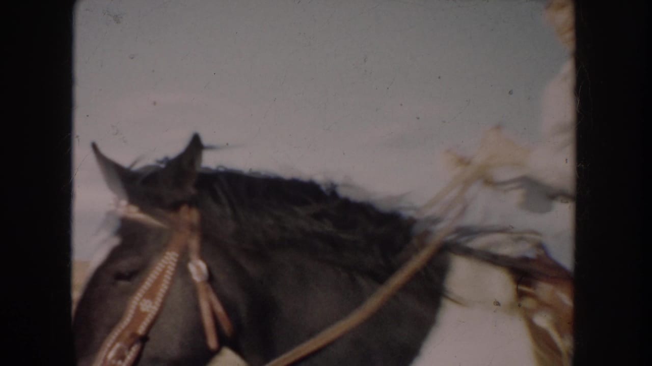 A close handheld frame crops in on the pinto horse's head, bridle, reins, saddle, and the rider's jeans as they pass nearby.
