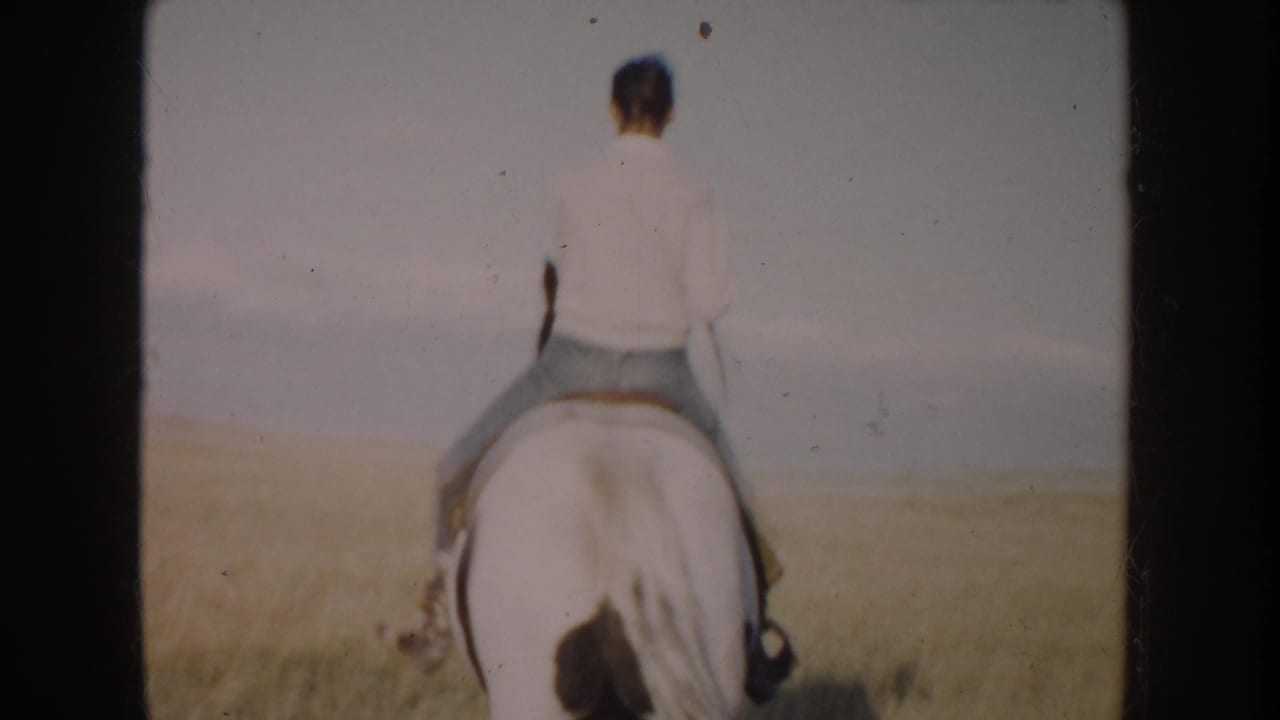 Rider seen from behind on a dark-and-white horse in an open grass field.