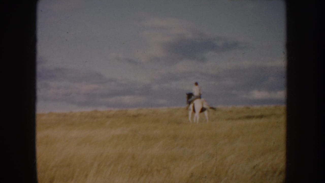 White horse and rider near the horizon line in a broad yellow grass field.