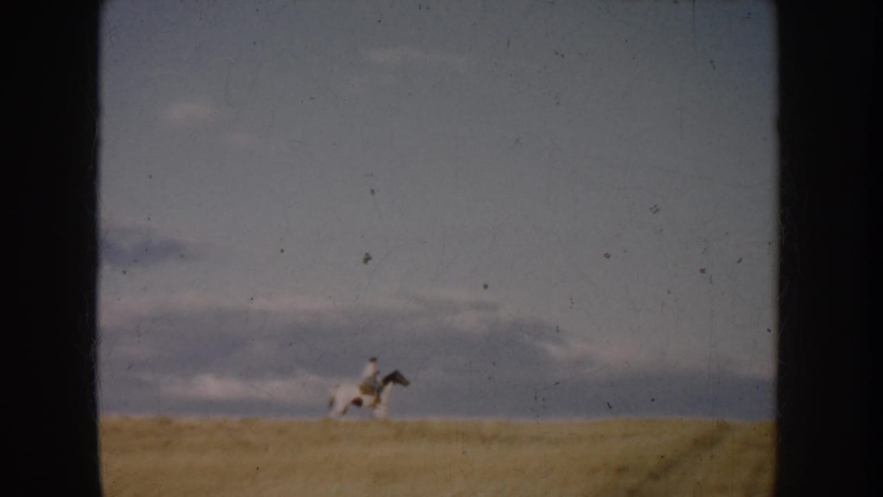 Rider on a white horse seen far across a grassy field beneath a wide sky.