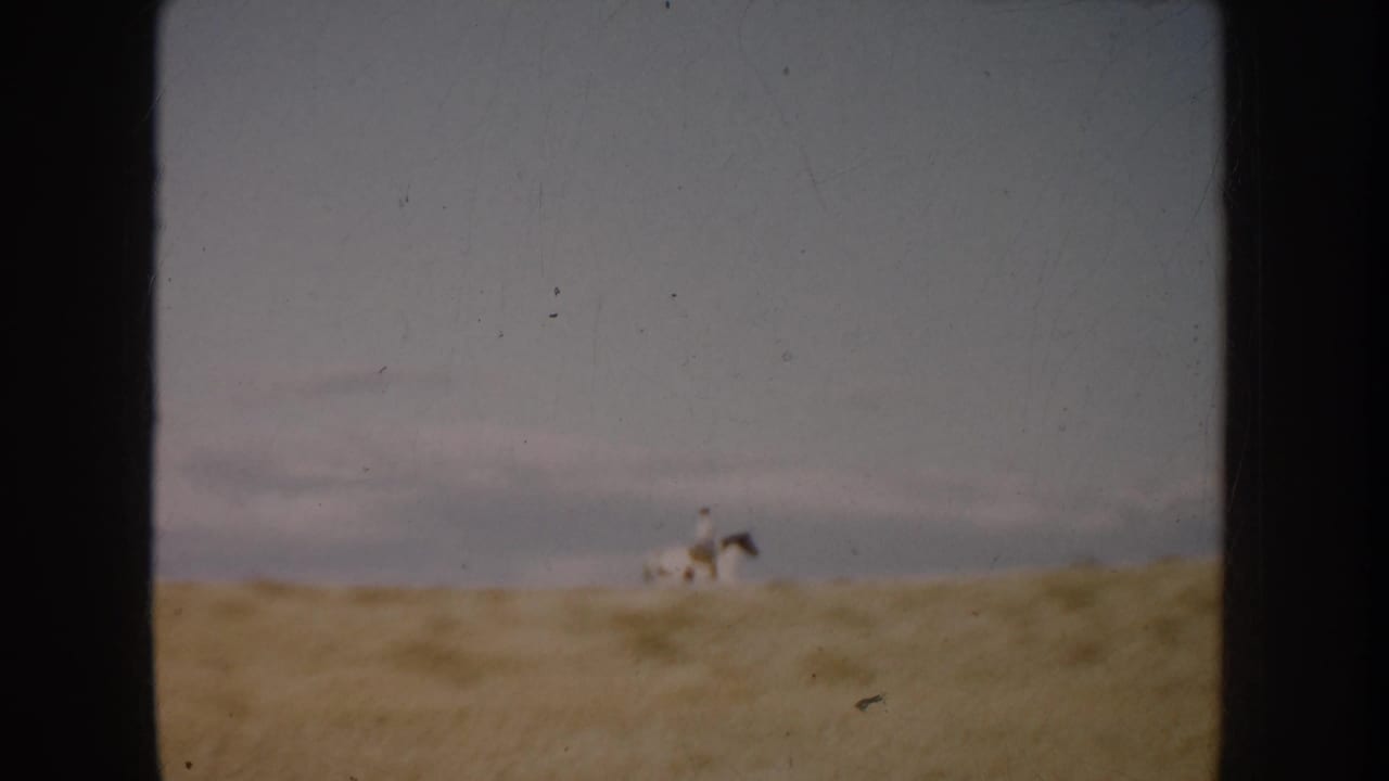 Rider on a spotted horse near the horizon in an open field.