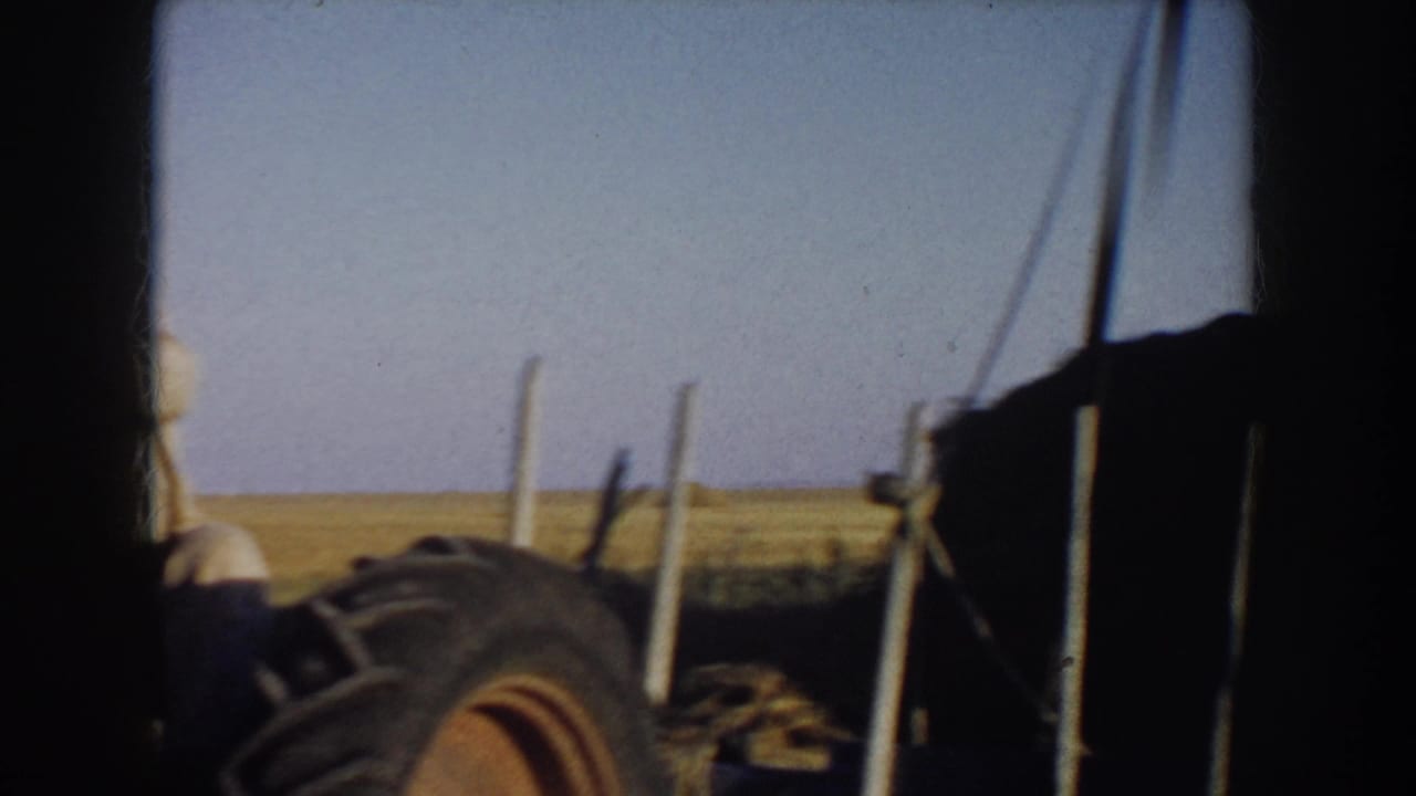 Tractor tire and hay-filled trailer seen through dark film borders.