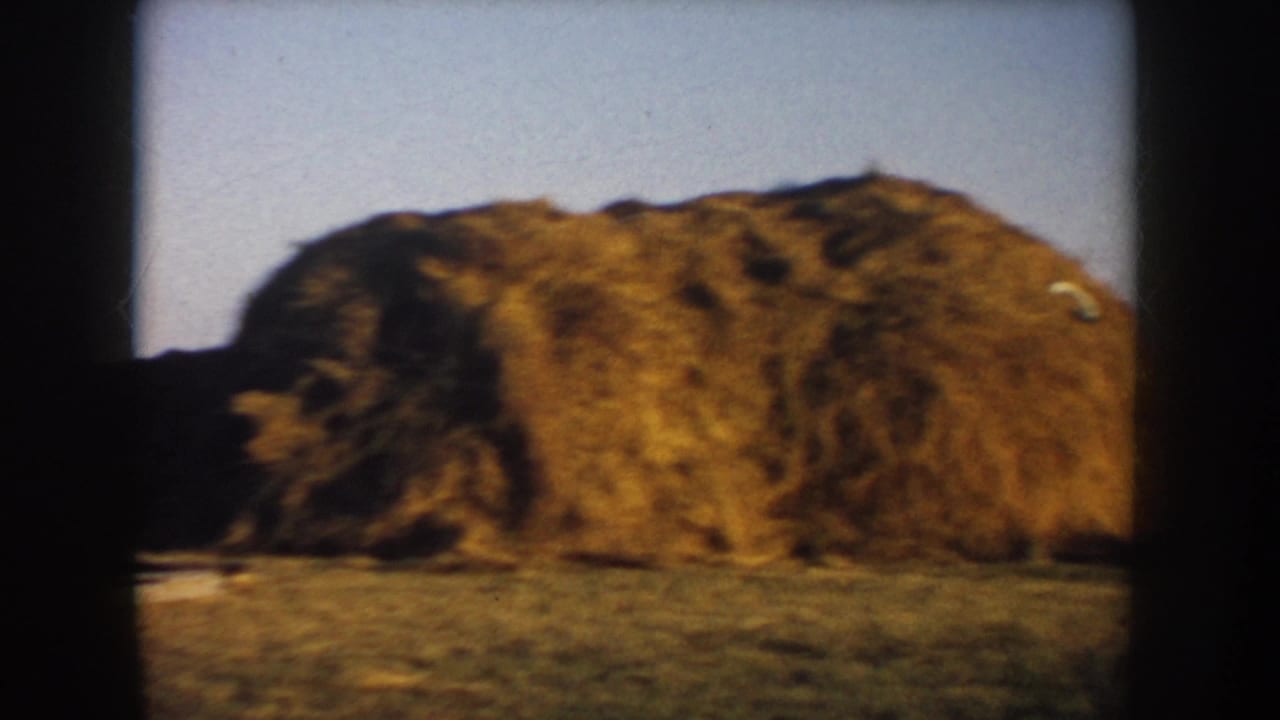 1953 South Dakota 8mm frame showing a large hay stack or bale in open farmland under a pale sky.