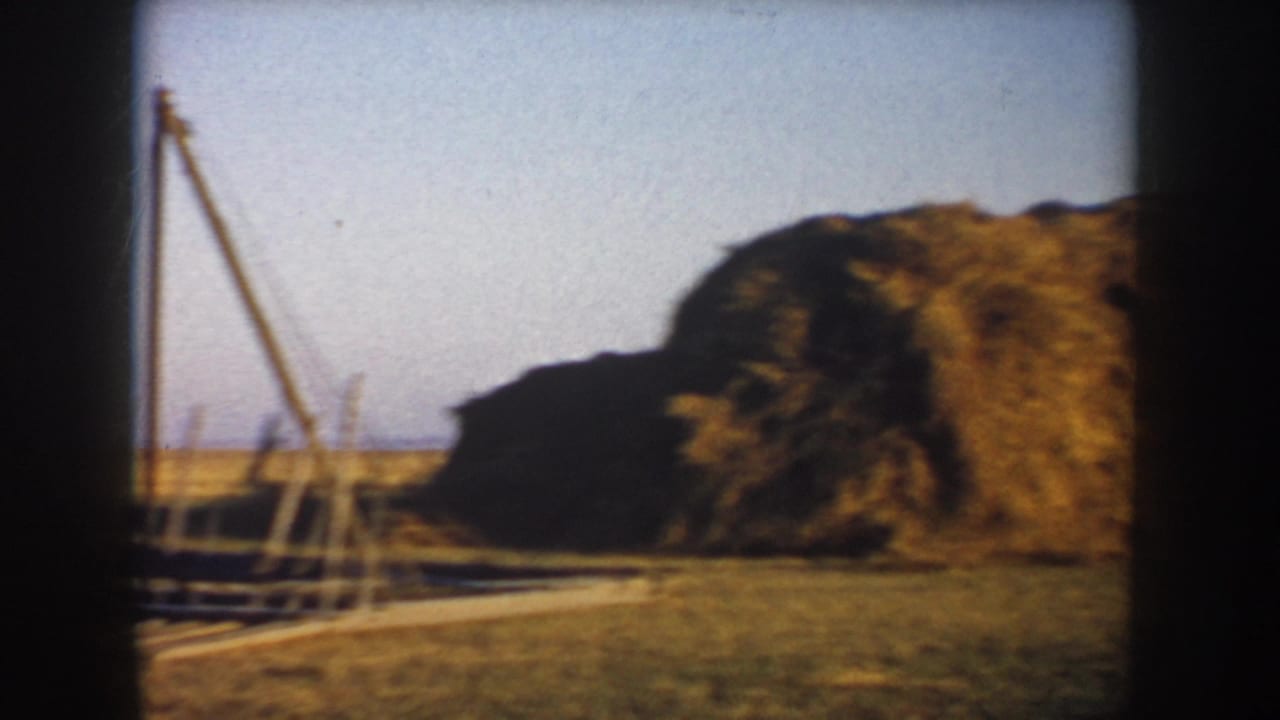 1953 South Dakota farm field with a wooden hay-lift or rake frame beside a large hay stack.