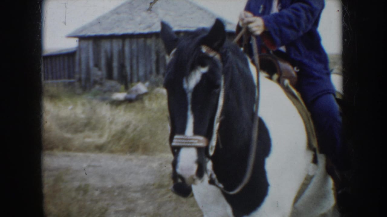 Close view of a pinto horse and rider beside a weathered wooden outbuilding and grass.