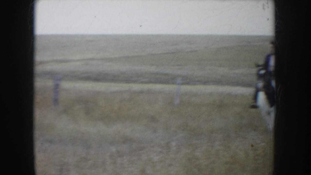 Open prairie with cattle partly visible at the edge of the frame.