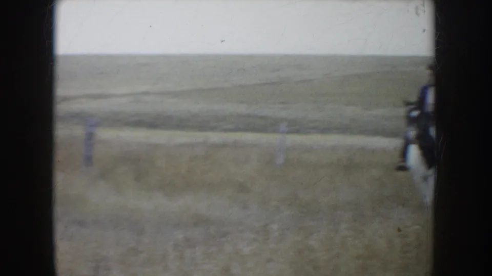 Soft 8mm frame of South Dakota prairie, with cattle partly cropped at the right edge and rolling grassland beyond.