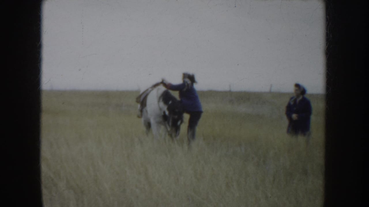 Two people in dark clothing handle a white horse on the South Dakota prairie, with tall grass and a flat horizon behind them.