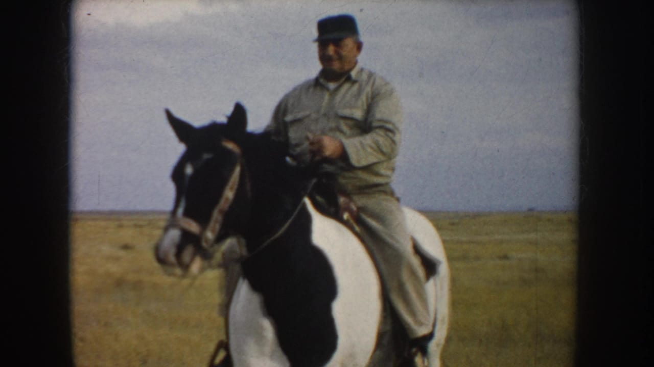 Close 8mm frame of the rider holding reins while the pinto horse turns toward the camera on the open plain.