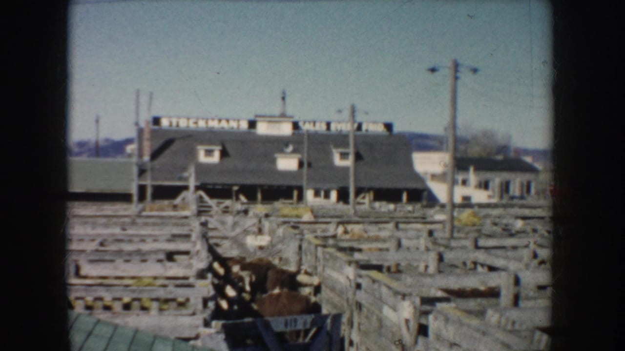 1953 South Dakota 8mm frame showing wooden livestock pens and a sales-yard building under a clear sky.