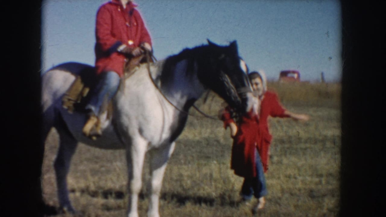 A person in a red coat leads the white horse while the woman rides in an open field, with distant cars visible near the horizon.