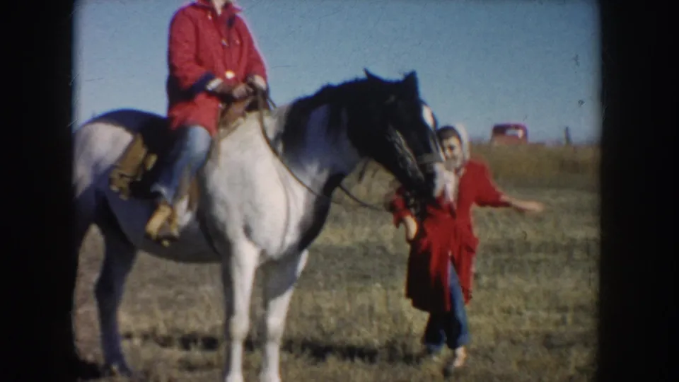 A person in a red coat leads the white horse while the woman rides in an open field, with distant cars visible near the horizon.