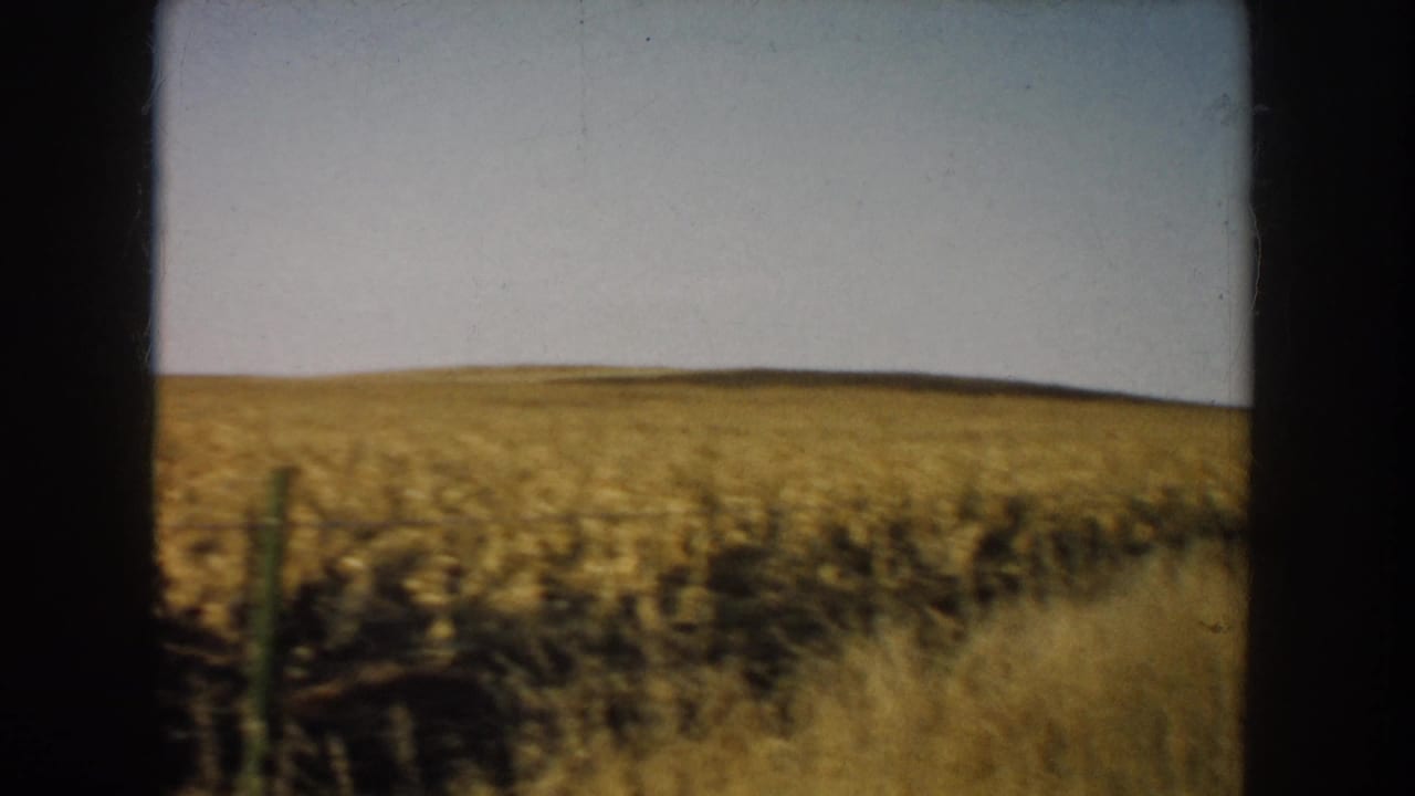 1953 South Dakota rural landscape frame with harvested corn rows, grass, fence posts, and a broad low horizon.
