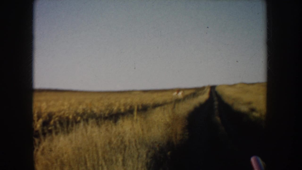 South Dakota home-movie frame showing a straight rural dirt road dividing open fields beneath a pale sky.