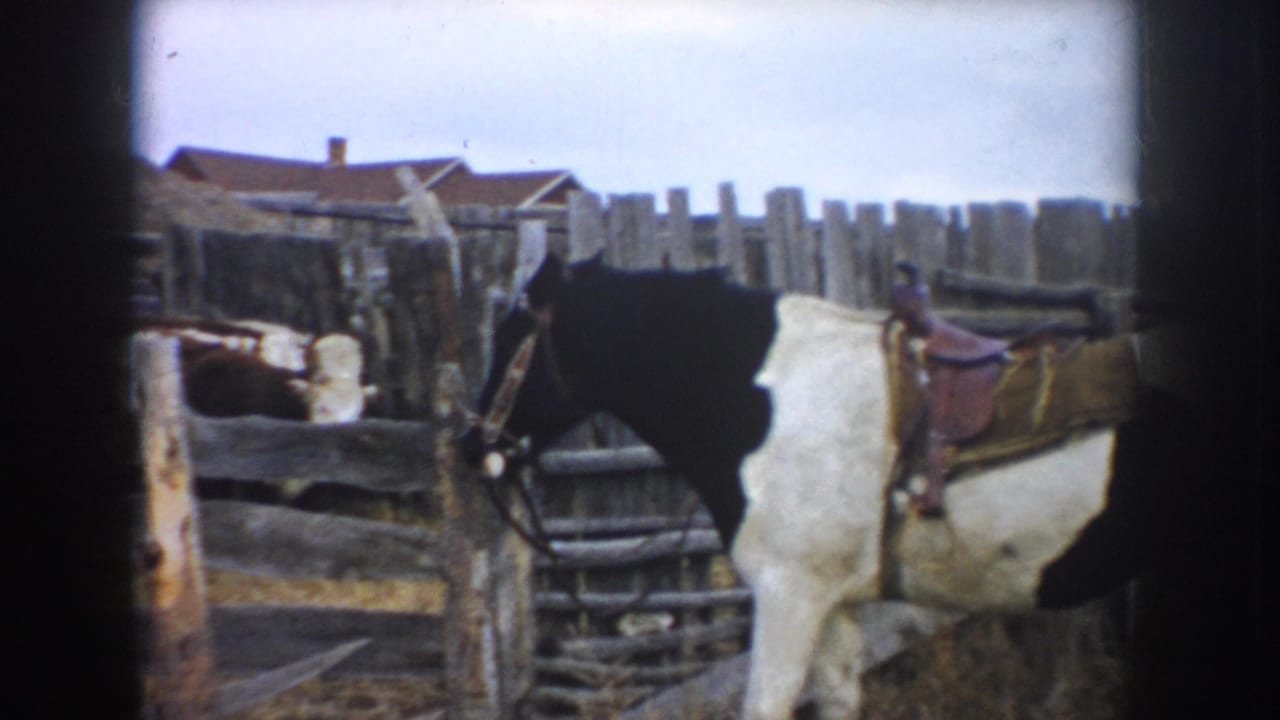 1953 South Dakota 8mm frame of a saddled horse near rough fencing, with haystacks and a farmhouse roofline beyond the pen.