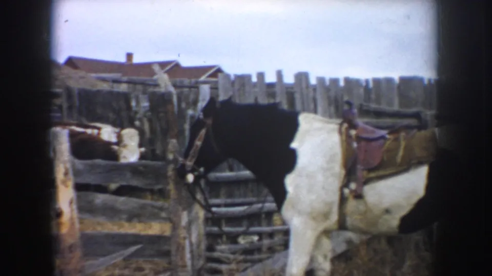 1953 South Dakota 8mm frame of a saddled horse near rough fencing, with haystacks and a farmhouse roofline beyond the pen.