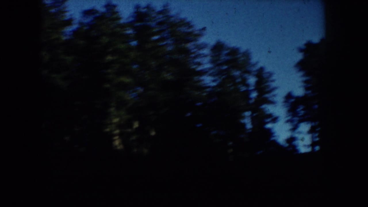 8mm home-movie frame from the South Dakota clip showing blurred pine trees silhouetted against blue sky after the cattle shots.
