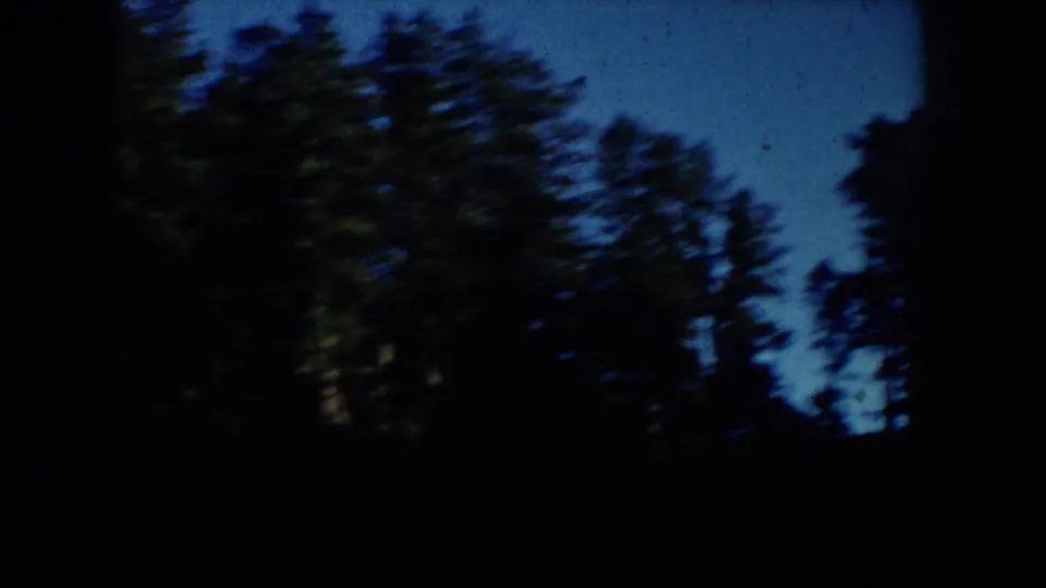 8mm home-movie frame from the South Dakota clip showing blurred pine trees silhouetted against blue sky after the cattle shots.