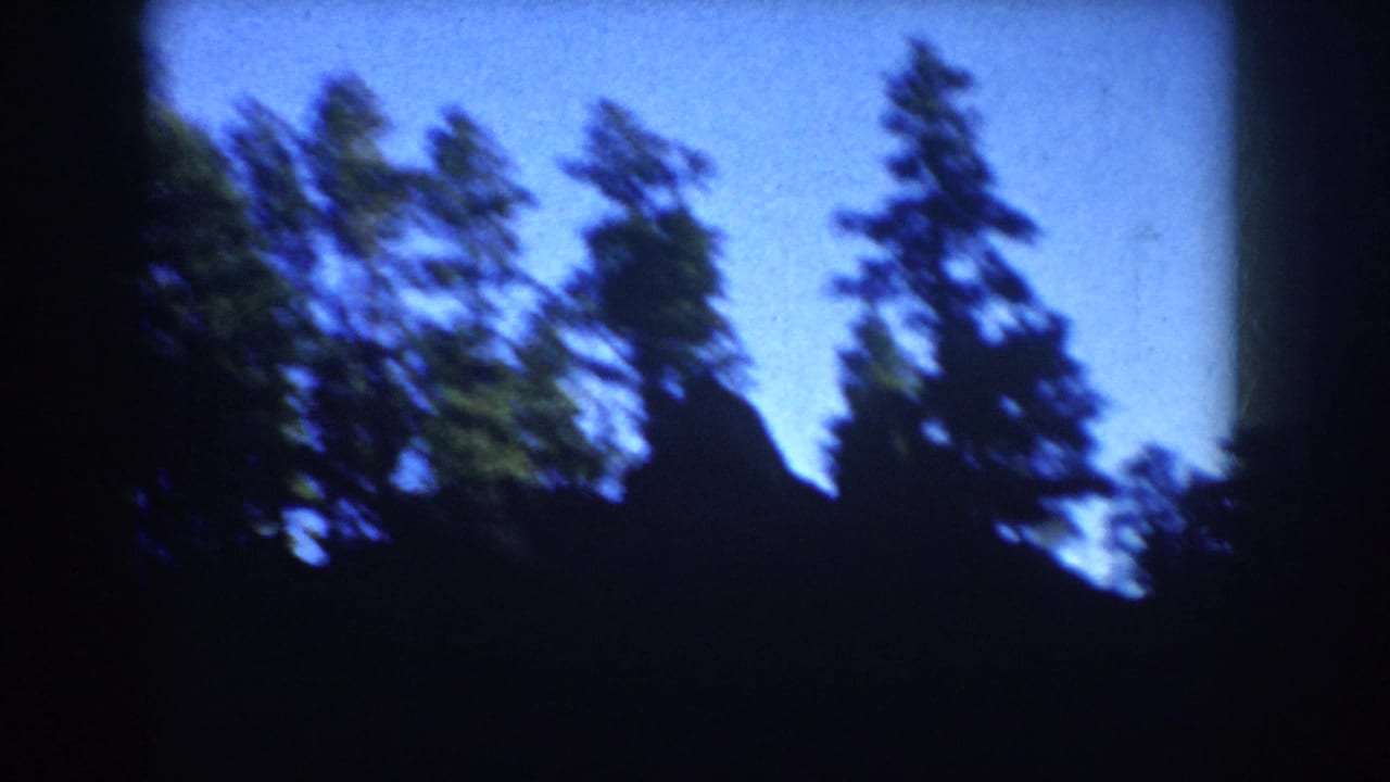Final 8mm frame from the 1953 South Dakota clip showing dark treetops and a possible roofline silhouette beneath blue sky.