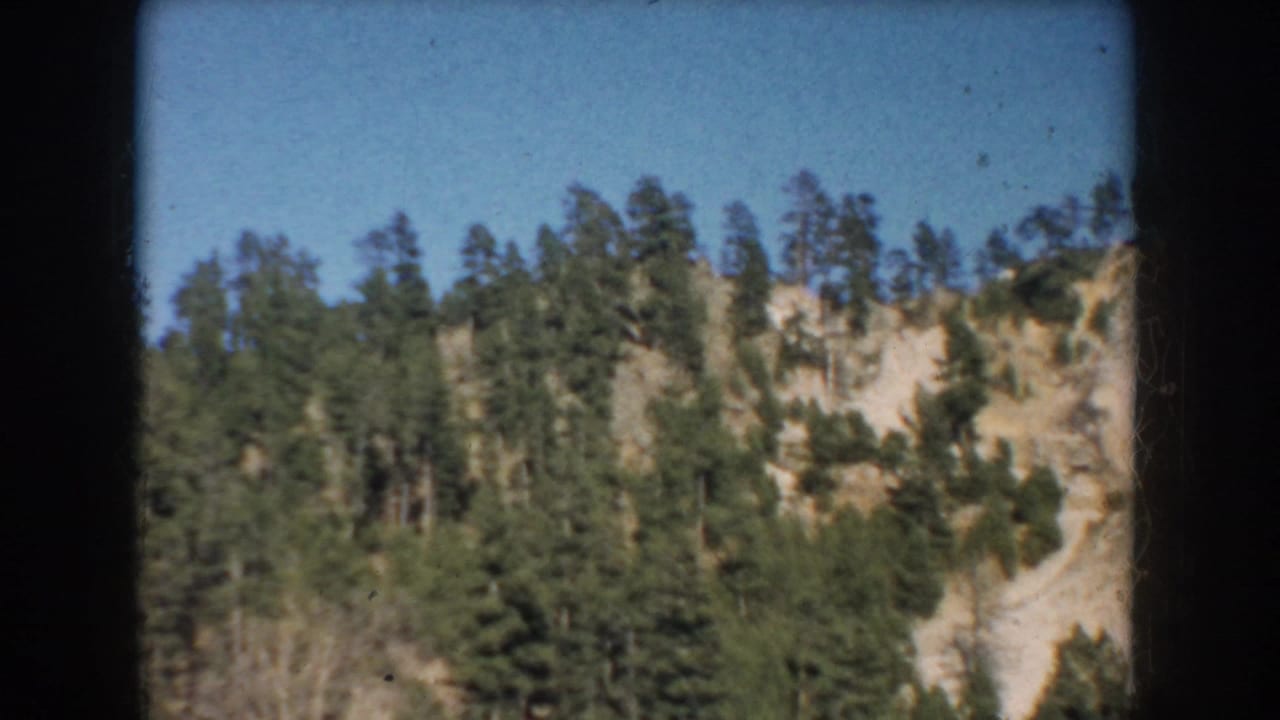 1953 South Dakota 8mm frame showing a rocky evergreen-covered slope viewed from a moving vehicle.