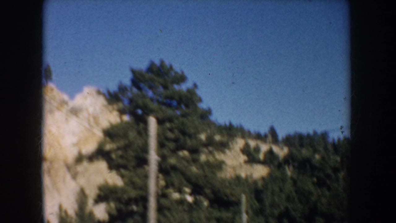 1953 South Dakota travel frame with evergreen trees and pale rock slope partly blocked by a dark vertical edge.