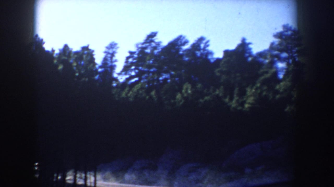 1953 South Dakota 8mm view of shadowed roadside trees passing below a bright blue sky.