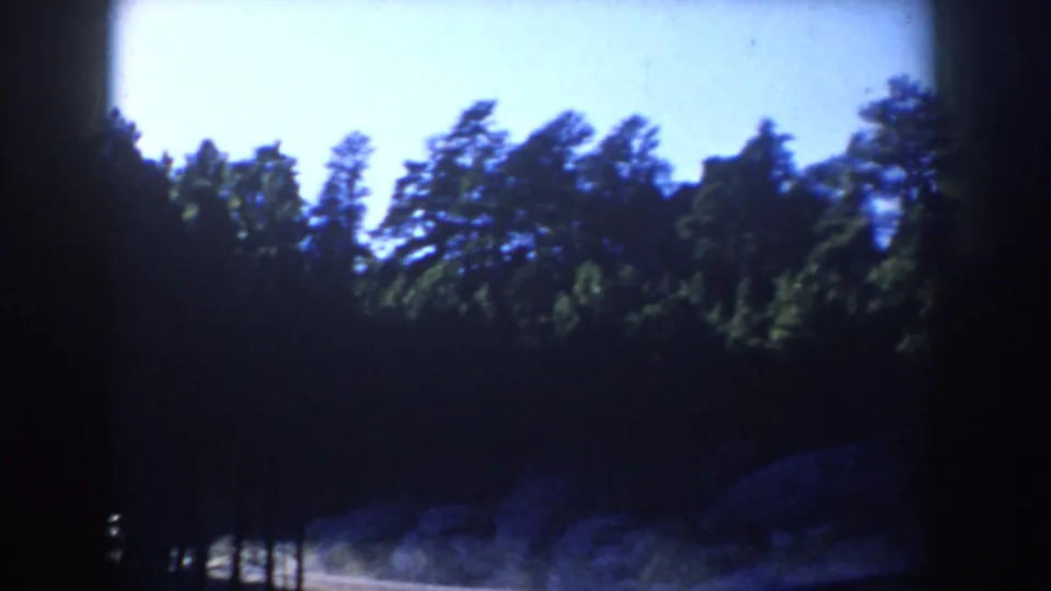 1953 South Dakota 8mm view of shadowed roadside trees passing below a bright blue sky.