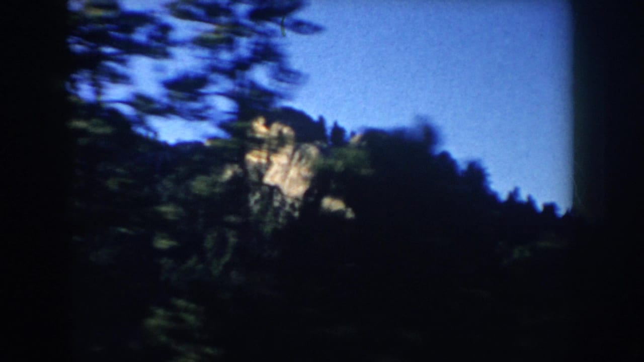 Blurred roadside trees with a rocky outcrop visible beyond the forest.