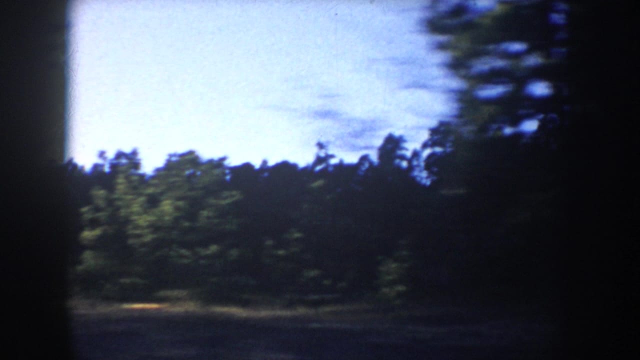 1953 South Dakota home-movie frame with an open patch of ground, tree line, and bright sky during a moving forest shot.