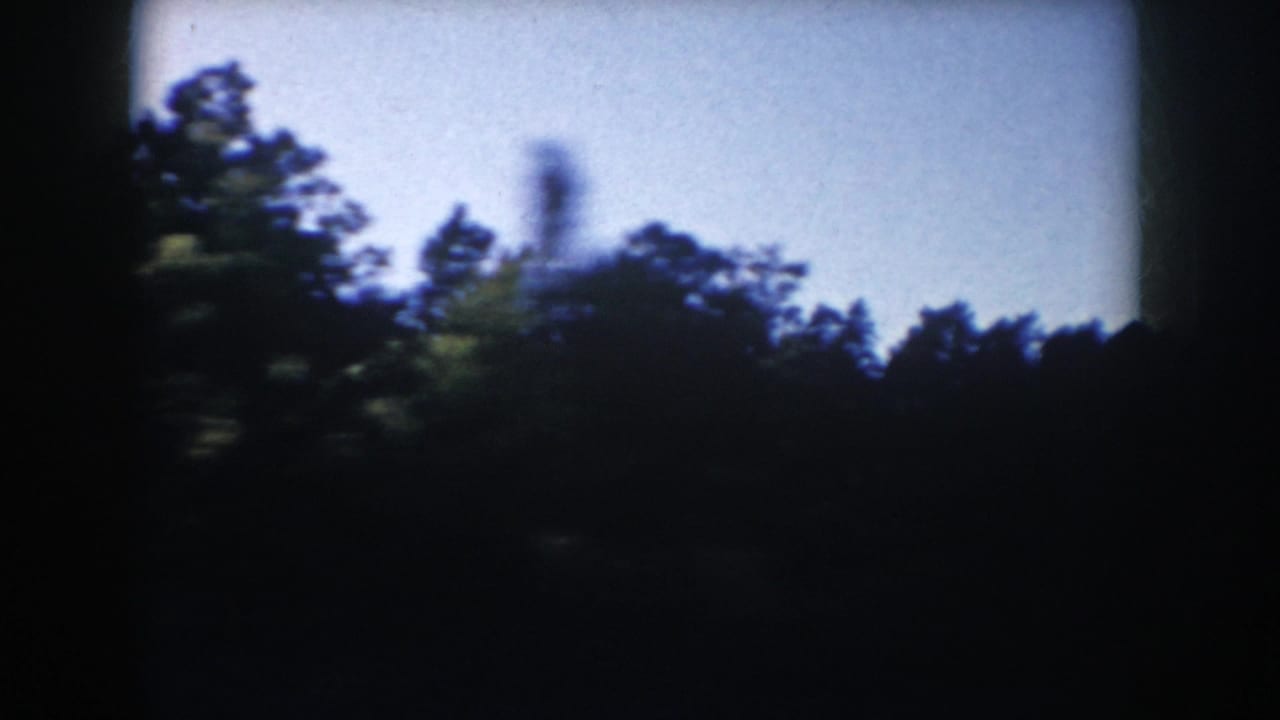 South Dakota 8mm frame showing a dark forest edge, pale blue sky, and a blurred vertical tree shape from camera movement.