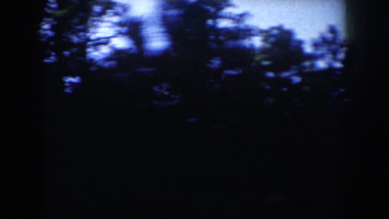 1953 South Dakota 8mm frame with dark blurred trees and a glimpse of forested mountain scenery under blue sky.