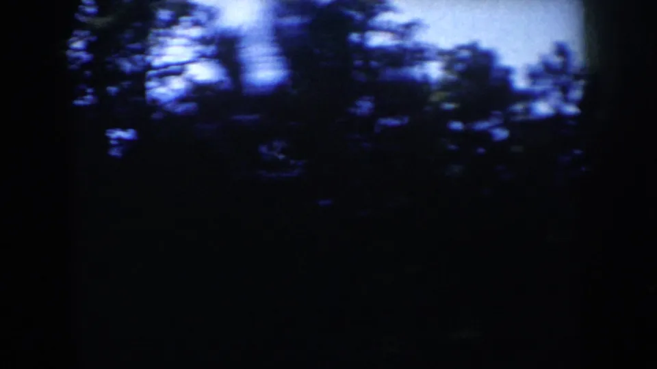 1953 South Dakota 8mm frame with dark blurred trees and a glimpse of forested mountain scenery under blue sky.