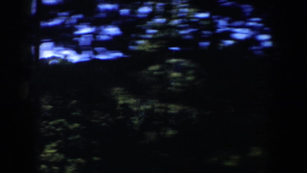 1953 South Dakota 8mm frame with heavy motion blur as trees pass across the mountain and sky view.