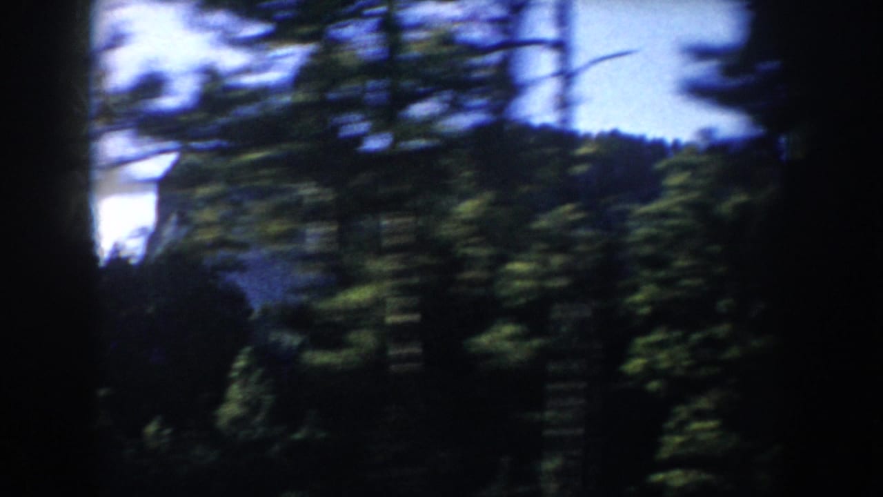 1953 South Dakota home-movie frame with blurred pine trees, distant rocky terrain, and dark edges suggesting filming from a moving vehicle.