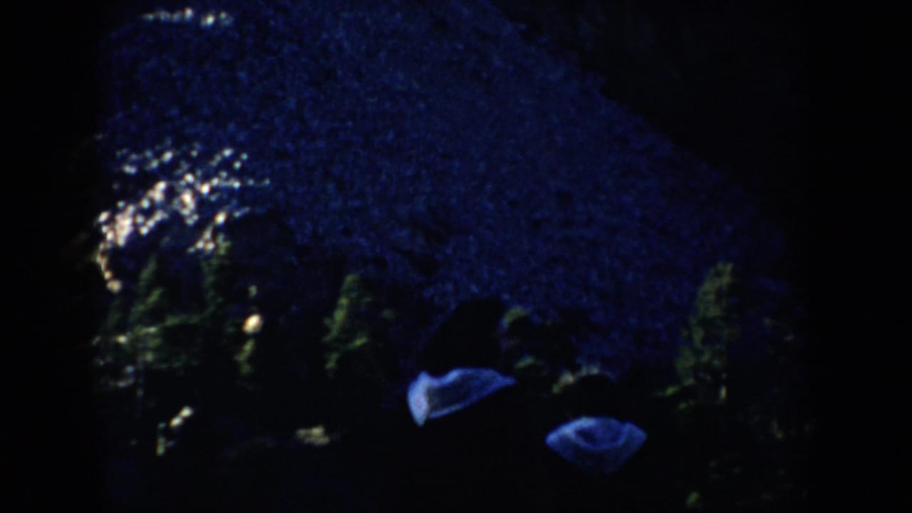 Dark snowy trees with small bundled figures partly visible near the lower edge.