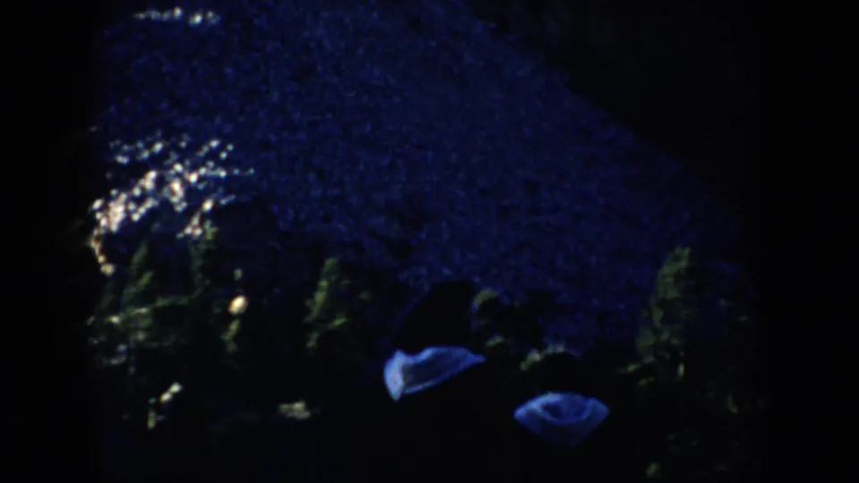 1953 South Dakota 8mm frame showing dim snowy trees at night with small bundled figures partly obscured in darkness.