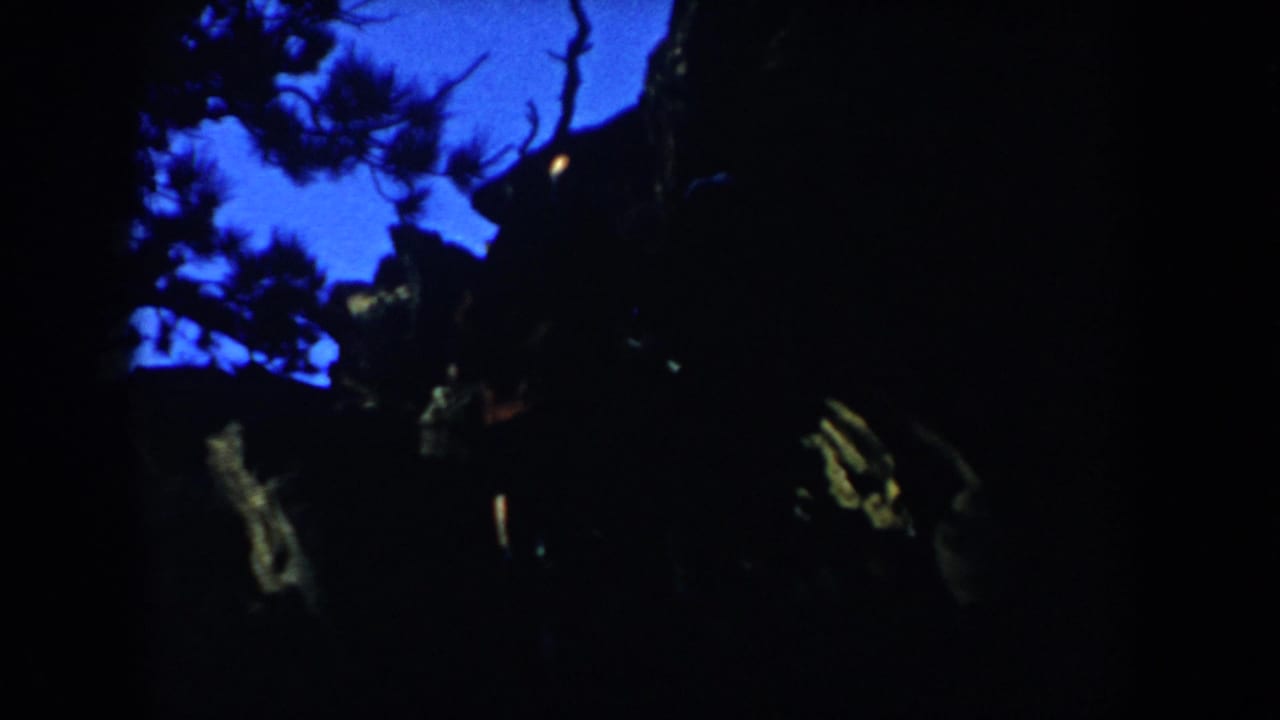 Low-light 8mm frame from South Dakota showing faint hikers in silhouette beneath pine branches and blue evening sky.