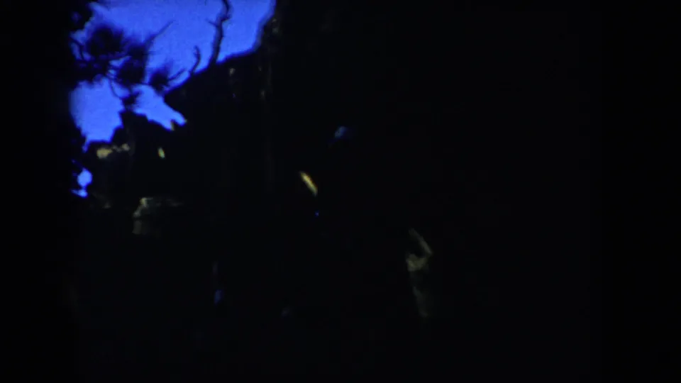 1953 home-movie frame showing a dark figure descending through trees on a South Dakota trail at dusk.