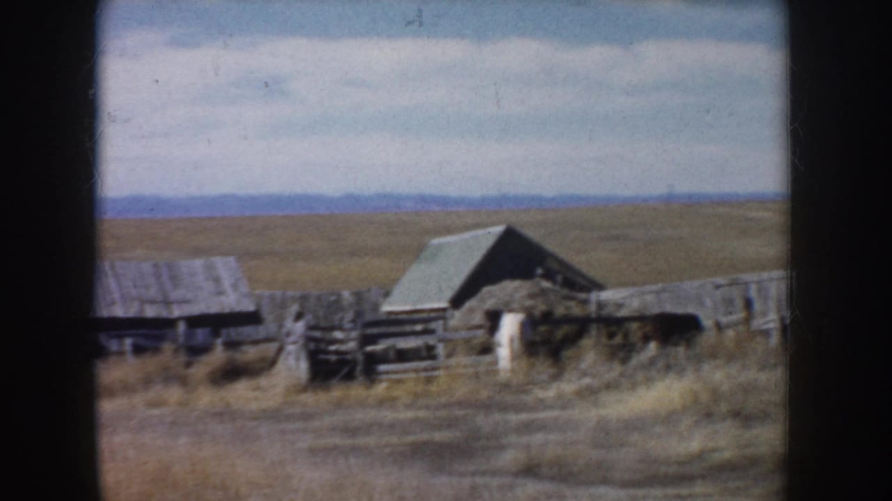 1953 South Dakota home-movie frame showing weathered farm structures, wooden fencing, dry pasture, and open plains beneath a blue sky.