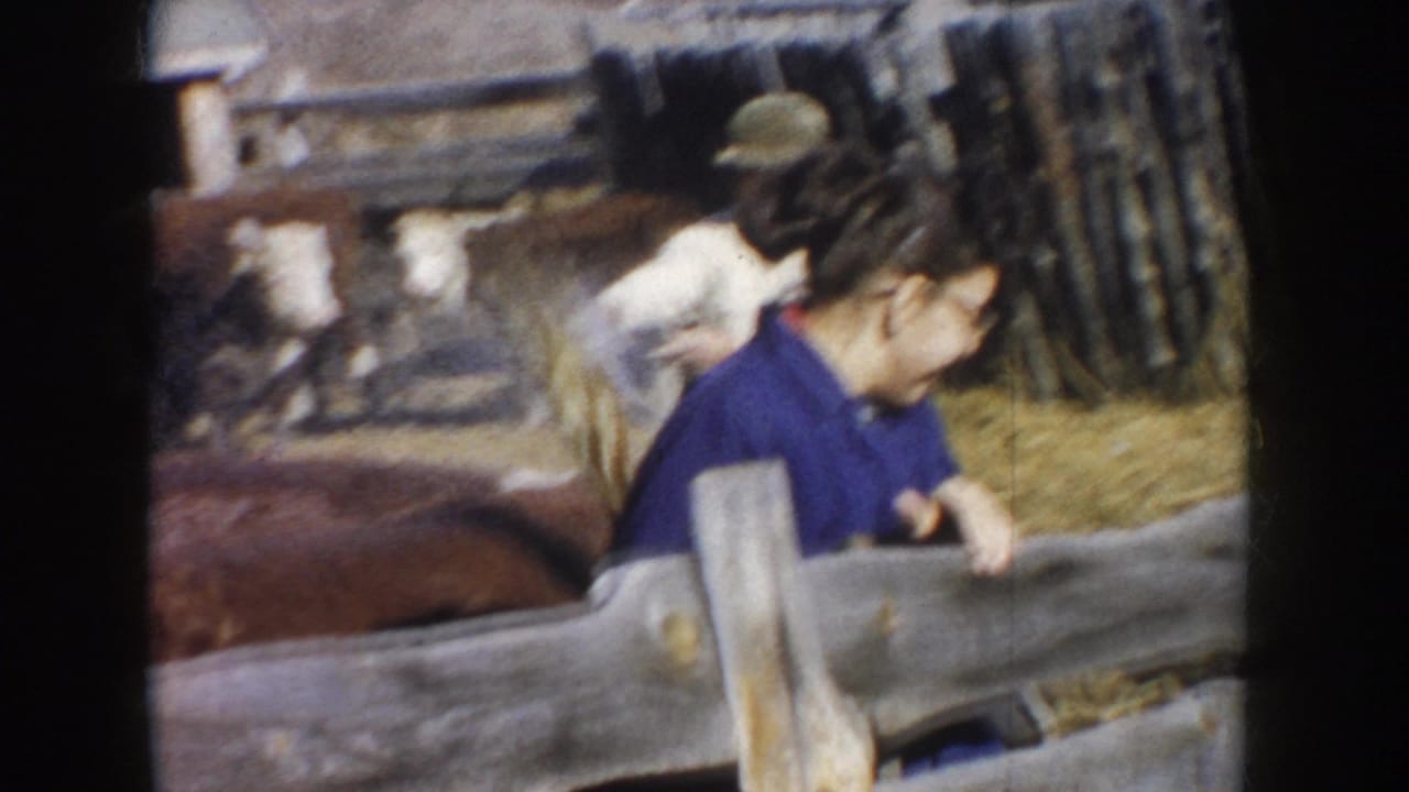 Woman in a blue shirt leans near a wooden fence as cattle and a man move behind her.