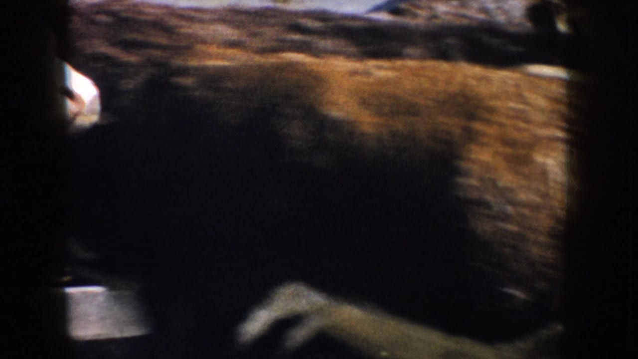 Brown-and-white goat moving past a dark barn post and metal trough.