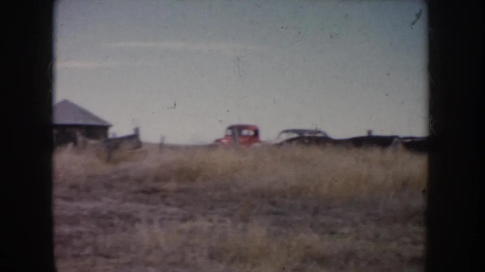 1953 South Dakota farm view with cattle in dry grass, a small outbuilding, fencing, and older vehicles near the horizon.