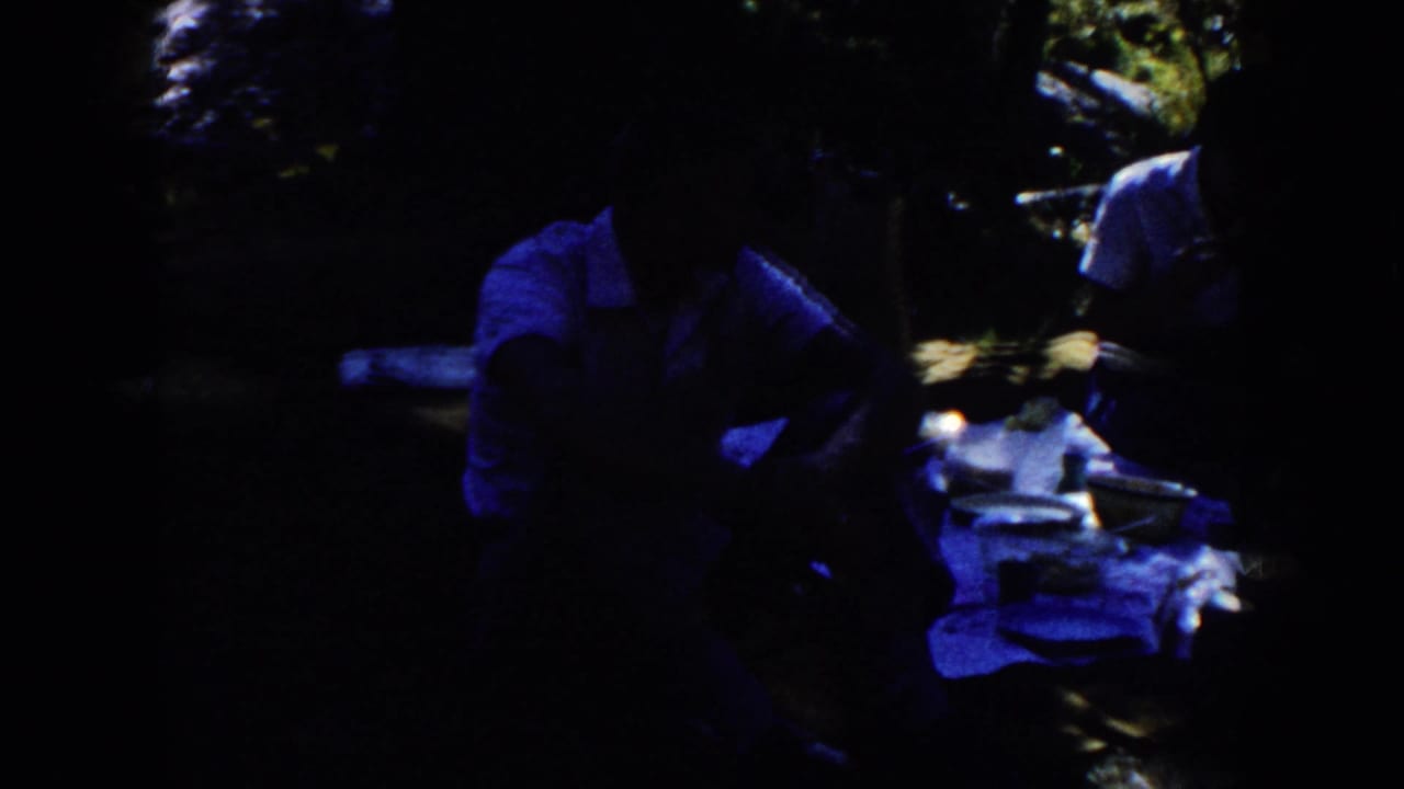 1954 South Dakota home-movie frame showing three adults seated on a picnic blanket in a wooded park, partly obscured by deep shadow.