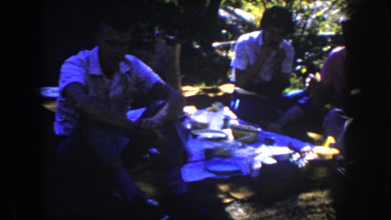 Adults sit around picnic food on a blanket under bright patches of sunlight.