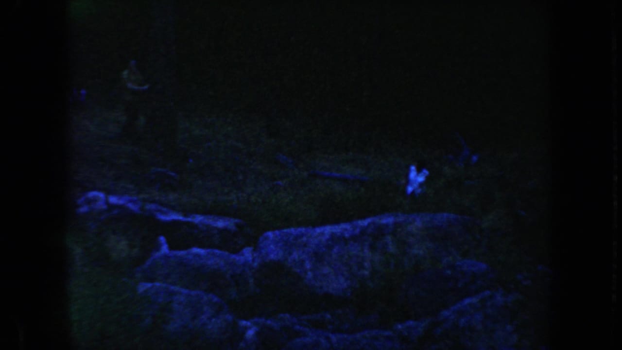 1954 South Dakota 8mm frame showing a very dark outdoor area with blue-tinted rocks or brush and heavy film grain.