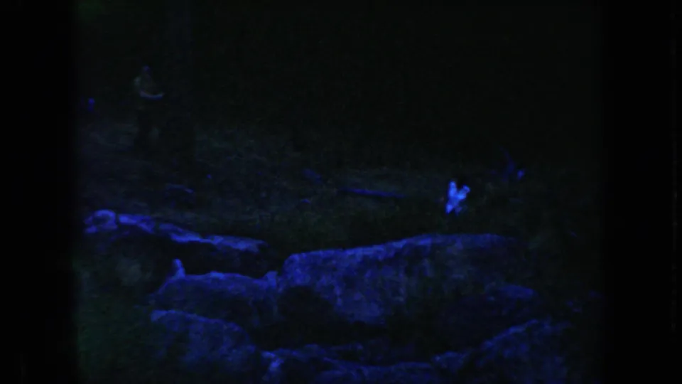 1954 South Dakota 8mm frame showing a very dark outdoor area with blue-tinted rocks or brush and heavy film grain.