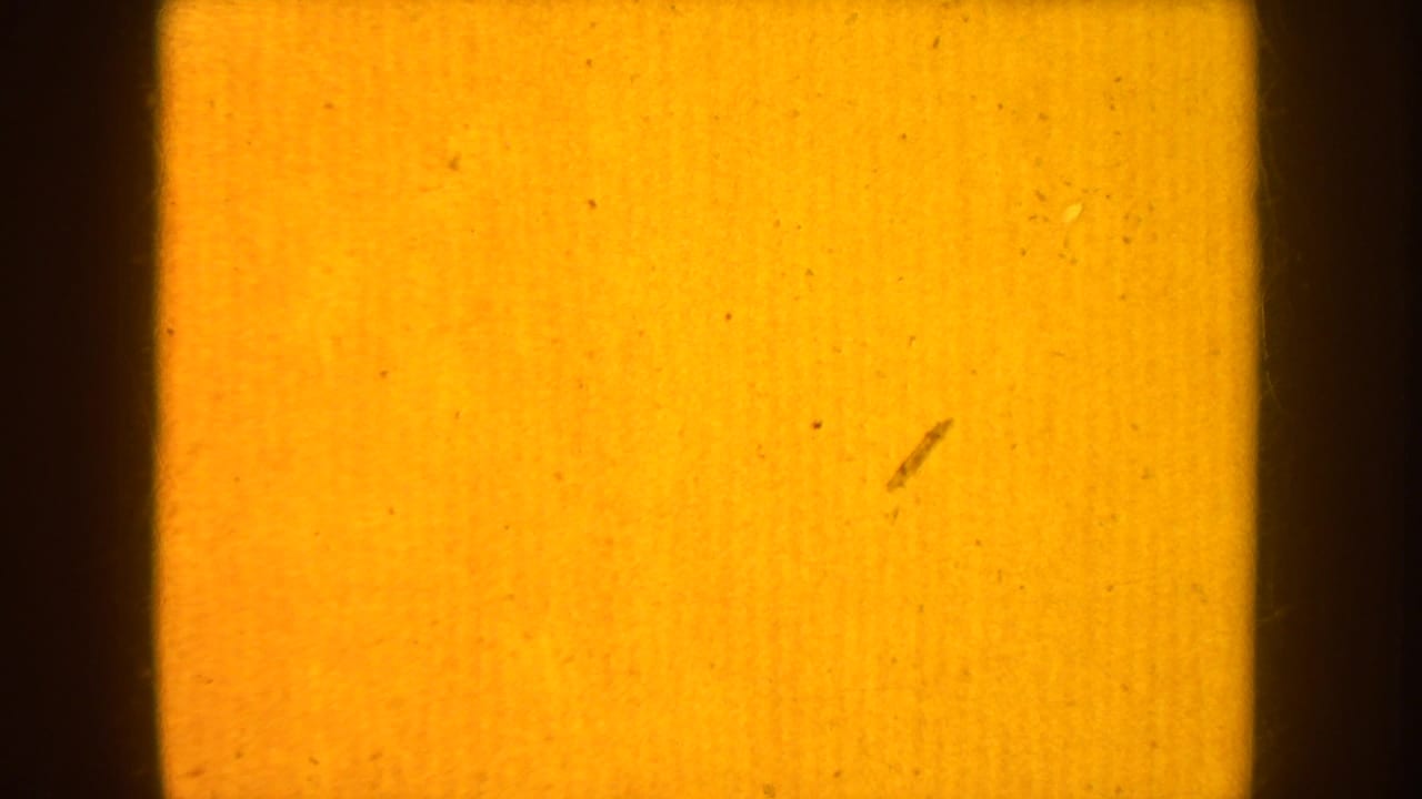 A warm amber 8mm film frame with dark borders, dust, scratches, and little visible scene detail.